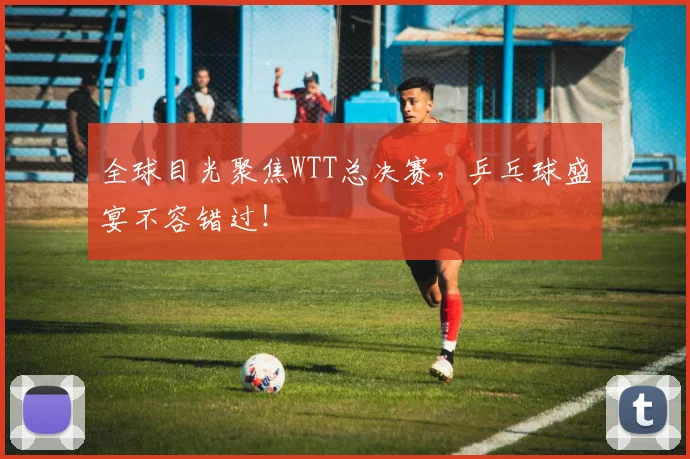 全球目光聚焦WTT总决赛，乒乓球盛宴不容错过！
